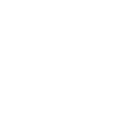 file icon